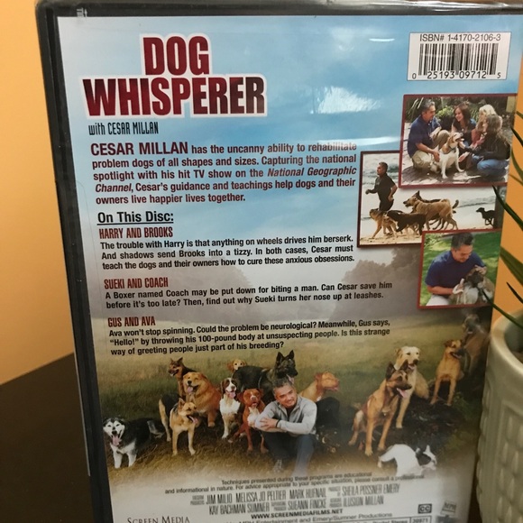 Dog Whisperer 3 Episodes Coach Brooks & Ava Cesar Millan Screen Media DVD - Picture 2 of 8